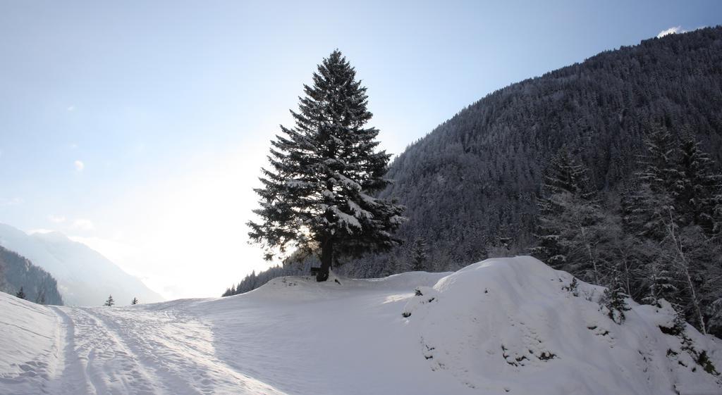 Apartments Haus Schoen - Preise Inclusive Pitztal Sommer Card Йерценс Экстерьер фото