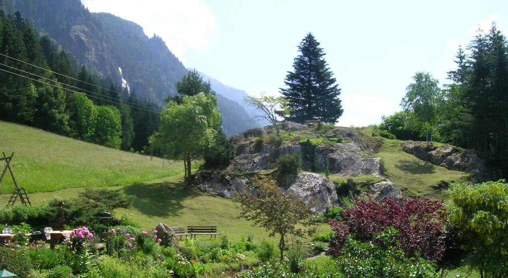 Apartments Haus Schoen - Preise Inclusive Pitztal Sommer Card Йерценс Экстерьер фото